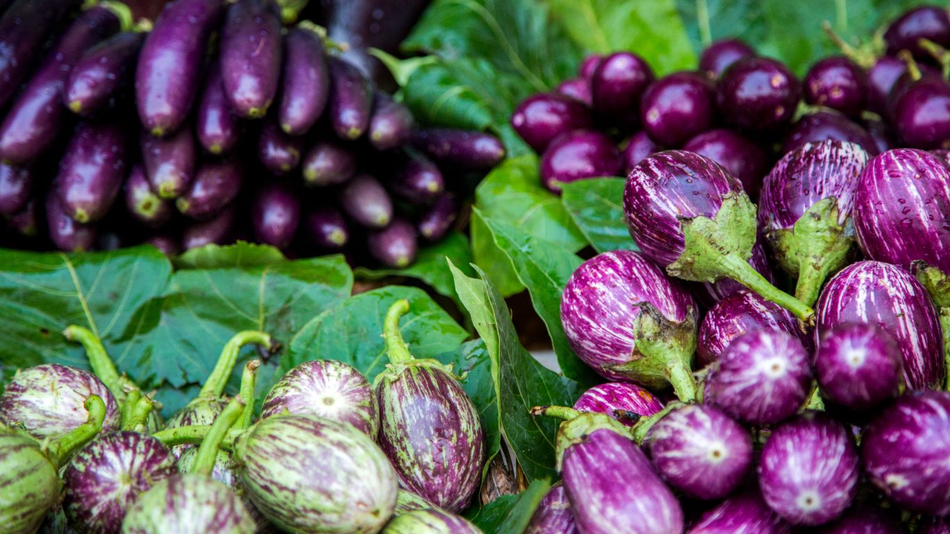 Health benefits of eggplant, its nutritional value and side effects